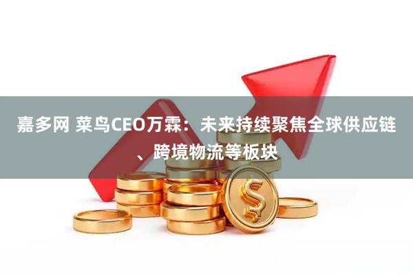 嘉多网 菜鸟CEO万霖：未来持续聚焦全球供应链、跨境物流等板块